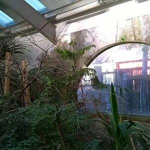 View Of Brilliant Birds