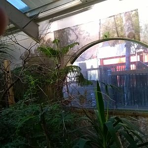 View Of Brilliant Birds