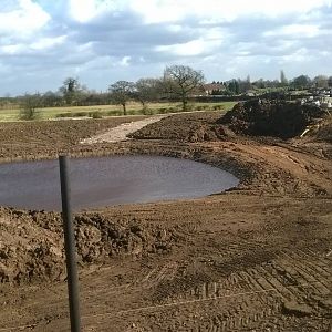 Polar Bear Enclosure 3 - 1st March 2015