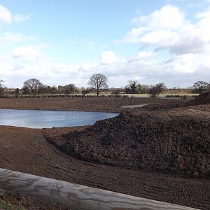 Polar Bear Enclosure 3 - 1st March 2015