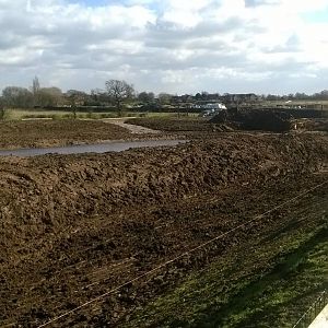 Polar Bear Enclosure 3 - 1st March 2015