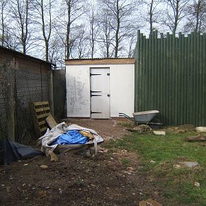 Latest work on the new Tortoise House