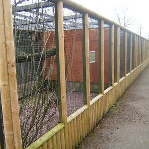 View of re-clad Bird Aviarys