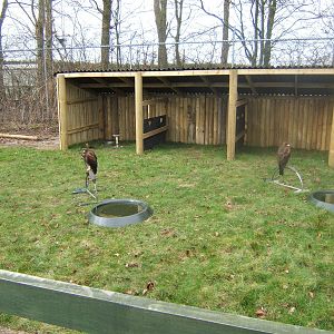 New Bird of Prey Mews