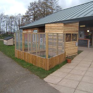 Harvest Mouse House and outdoor enclosures