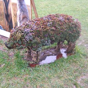 Plant Pig at entrance