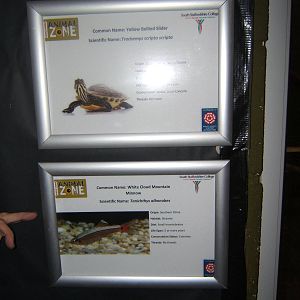 Signs for part of a four species mixed exhibit