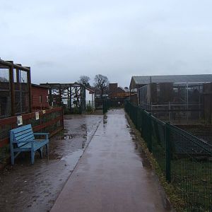 View of part of site