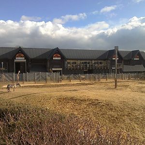 Kingdom of the Wild - 21/02/15