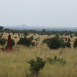 View Over Tarangire with Termite Mounds