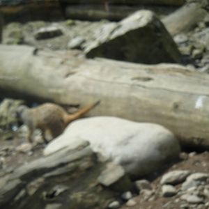 Fota Visit April2014