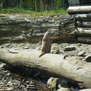 Fota Visit April2014