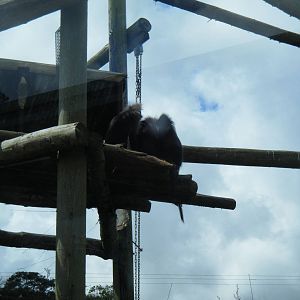 Fota Visit April2014