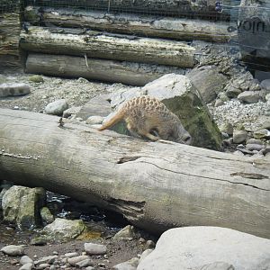 Fota Visit April2014