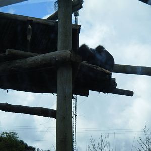 Fota Visit April2014