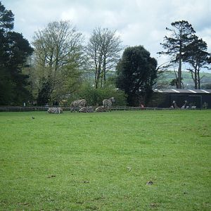 Fota Visit April2014