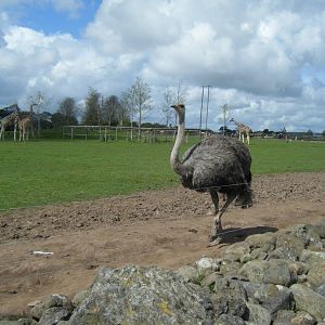 Fota Visit April2014