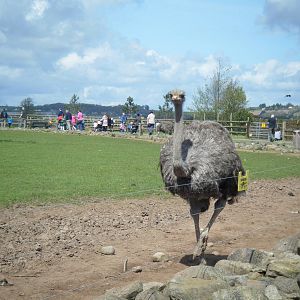 Fota Visit April2014