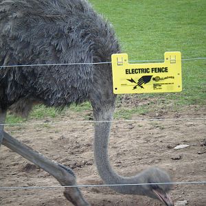 Fota Visit April2014