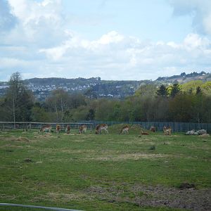 Fota Visit April2014