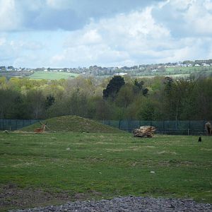 Fota Visit April2014