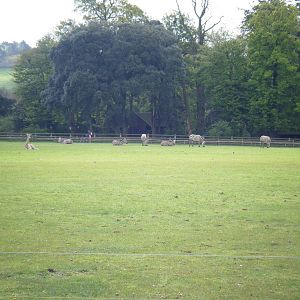 Fota Visit April2014