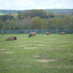 Fota Visit April2014