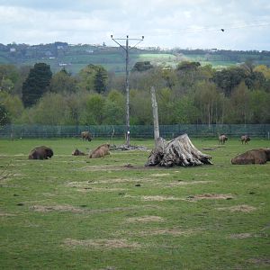 Fota Visit April2014