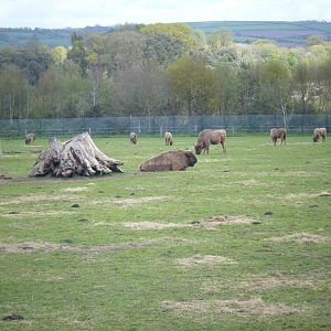 Fota Visit April2014