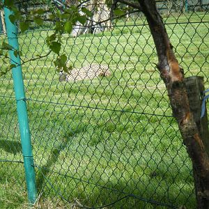 Fota Visit April2014