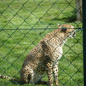 Fota Visit April2014