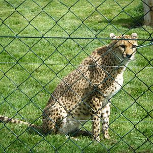 Fota Visit April2014