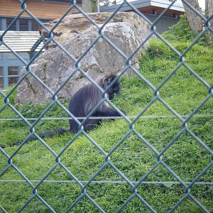 Fota Visit April2014