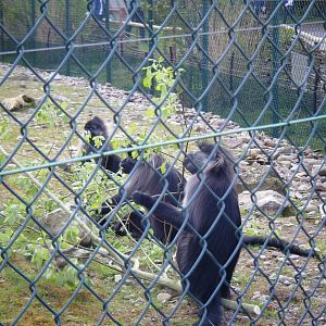Fota Visit April2014