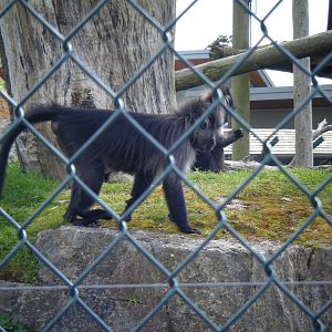 Fota Visit April2014