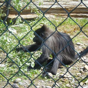 Fota Visit April2014