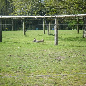 Fota Visit April2014