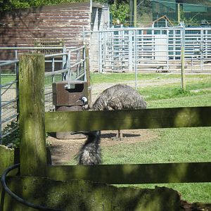 Fota Visit April2014