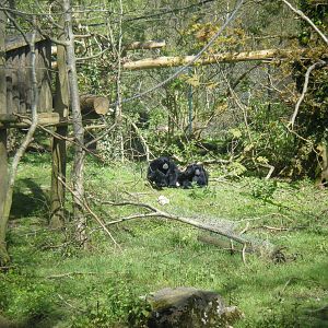 Fota Visit April2014