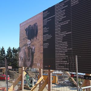 Mongolian Steppe construction