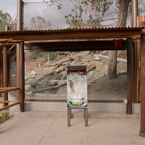Jaguar Exhibit almost open