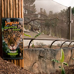 Jaguar Exhibit almost open