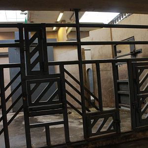 Elephant house - African elephant indoor exhibit