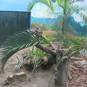 Burmese Python enclosure