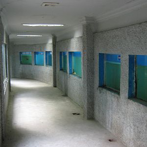 inside the reptile house