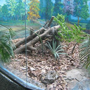 Reticulated Python enclosure