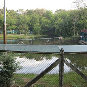 crocodile and otter enclosure