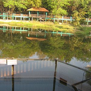 crocodile and otter enclosure
