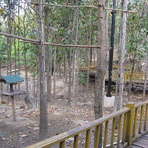 interior of walk-through aviary