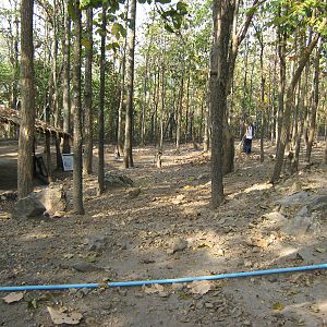 enclosure for Red-necked Wallabies